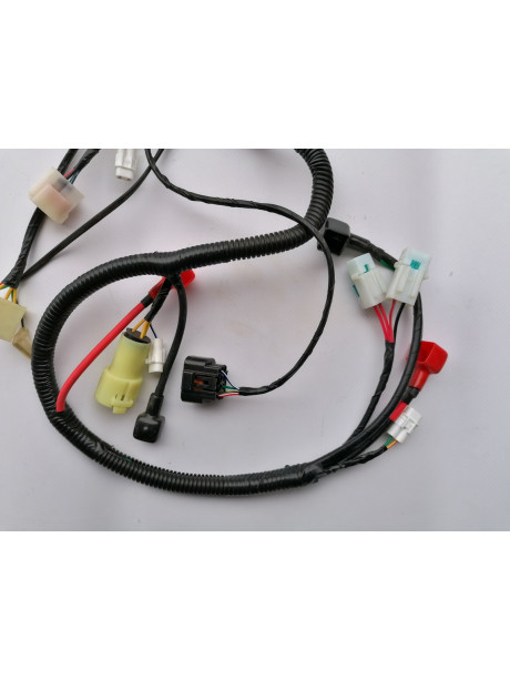 Wire harness XMOTOS XB39 250cc - water cooled