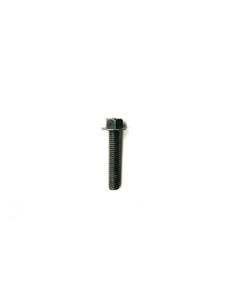 Chain Roller Guide bolt M8x30 XMOTOS XB88